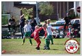 IMG_9104