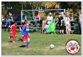 IMG_9120