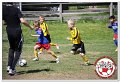 IMG_9161