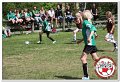 IMG_9241