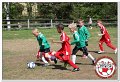 IMG_9345
