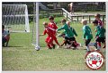 IMG_9350